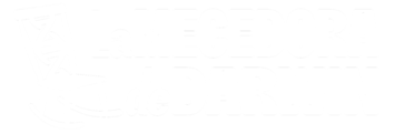 lamecedoradedarwin.com